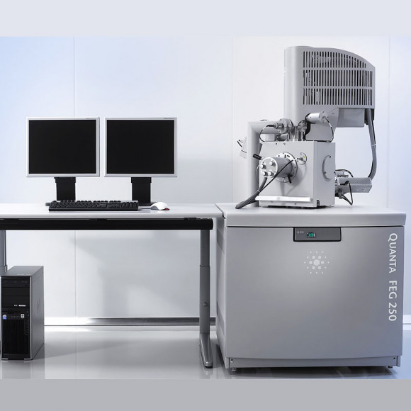 Сканирующий электронный микроскоп Qemscan 650