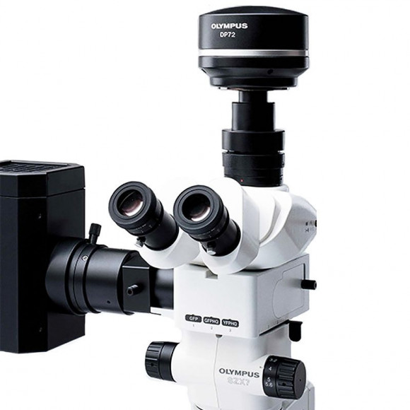 Стереомикроскоп Olympus SZX7 Стереомикроскоп Olympus SZX7