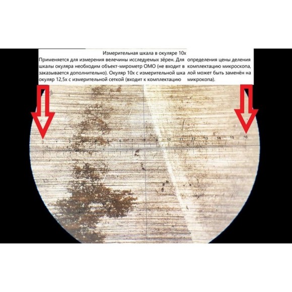 4XB Инвертированный микроскоп