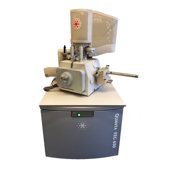 Сканирующий микроскоп FEI MLA 650